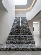 Zèbre du Rayol