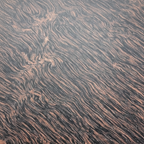 Tiger Print